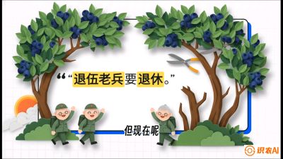 第7节：修剪决定产量（下）&mdash;&mdash;结果树的更新与疏果，课程：《蓝莓&ldquo;高产&rdquo;实战课：从选苗到丰收的10个关键点》