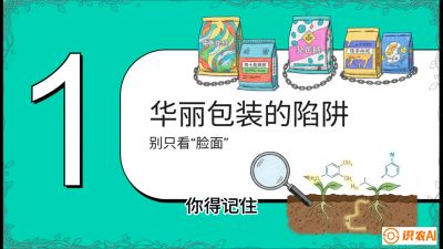 第4节：【黄金配方】底肥里的&ldquo;铁三角&rdquo;与&ldquo;微量雷区&rdquo;课程：《柑橘底肥&ldquo;翻身账&rdquo;：从改土到高产的实战全书》