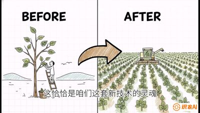 第02节：把树变成草&mdash;&mdash;&ldquo;草本化密植&rdquo;技术，课程：《桑海淘金：桑树高产与蚕桑安全进阶实战课》