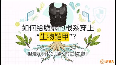 第三节：国产榴莲突围战：根系堡垒，菌根微生态构建与黄金定植窗口，课程：《国产榴莲突围战：从泰国经验到中国实操的8堂必修课（高阶实战版）》