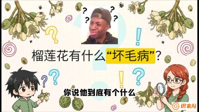 第六节：榴莲的午夜战事，夜间授粉战与花果期避雨策略，课程：《国产榴莲突围战：从泰国经验到中国实操的8堂必修课（高阶实战版）》