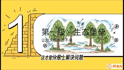 第七节：榴莲防御战：病虫害三级立体防控，疫霉菌与虫害的立体封锁线，课程：《国产榴莲突围战：从泰国经验到中国实操的8堂必修课（高阶实战版）》