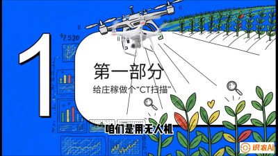 第5节：无人机也能&ldquo;看病抓药&rdquo;&mdash;&mdash;处方图与变量施肥入门，课程：《无人机植保搞钱必修课：从&ldquo;瞎飞&rdquo;到&ldquo;懂行&rdquo;的6步进阶》