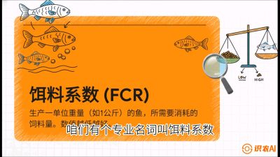 第五节：【高端单品&middot;鳜鱼】&ldquo;饲料鳜&rdquo;技术：打破吃活饵的高成本魔咒，课程：《黄金鳞甲：2025中国淡水鱼高效养殖实战营》