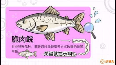 第六节：【老品升级&middot;脆肉鲩】如何让草鱼身价翻倍？，课程：《黄金鳞甲：2025中国淡水鱼高效养殖实战营》