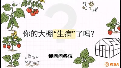 第2节（解毒篇）： 大棚里的&ldquo;红白绿&rdquo;警报&mdash;&mdash;读懂土壤盐渍化的求救信号，课程：《揭秘土壤的秘密：让土地帮你赚钱》#识农AI