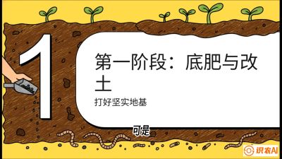 第6节（统筹篇）： 省钱又增产的&ldquo;黄金配比&rdquo;&mdash;&mdash;不同作物全年的养土实操方案，课程：《揭秘土壤的秘密：让土地帮你赚钱》#识农AI