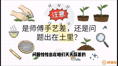 第02节（土肥篇）：告别&ldquo;苦涩水味&rdquo;：揭秘&ldquo;碳氮比&rdquo;调控术，种出自带兰花香的好茶底，课程：《茶金时代：从&ldquo;看天吃饭&rdquo;到&ldquo;精准控局&rdquo;的茶叶高产提质实战课》