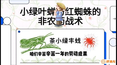 第03节（虫害篇）：看不见的吸血鬼：小绿叶蝉与红蜘蛛的&ldquo;非农药&rdquo;团灭战术（抗性治理），课程：《茶金时代：从&ldquo;看天吃饭&rdquo;到&ldquo;精准控局&rdquo;的茶叶高产提质实战课》