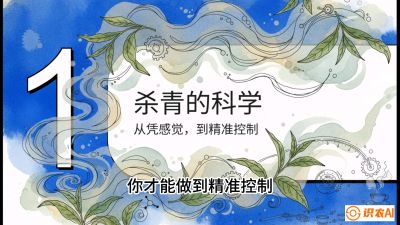 第05节（加工篇）：决胜2分钟：用&ldquo;数字温控&rdquo;破解杀青不匀，复刻大师级手工口感，课程：《茶金时代：从&ldquo;看天吃饭&rdquo;到&ldquo;精准控局&rdquo;的茶叶高产提质实战课》