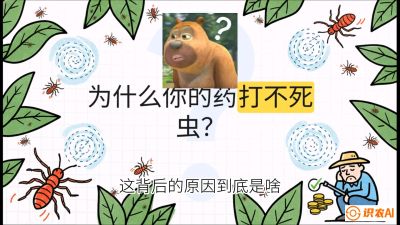 第4节：【虫害歼灭战】打不死的蓟马、隐形的茶黄螨：抗性时代的&ldquo;混配绝杀&rdquo;，课程：《辣椒种植实战特训营，从工业辣椒到精品小米辣，教你如何把&ldquo;草&rdquo;种成&ldquo;金&rdquo;》