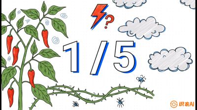 第6节：【花果爆发术】落花落果的五大元凶，与&ldquo;三喷一保&rdquo;坐果黑科技，课程：《辣椒种植实战特训营，从工业辣椒到精品小米辣，教你如何把&ldquo;草&rdquo;种成&ldquo;金&rdquo;》