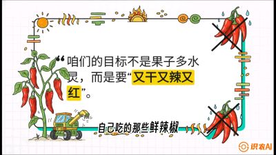 第7节：【工业辣椒专场】追求极致辣度！干物质提升与机械化采收的&ldquo;催红秘籍&rdquo;，课程：《辣椒种植实战特训营，从工业辣椒到精品小米辣，教你如何把&ldquo;草&rdquo;种成&ldquo;金&rdquo;》