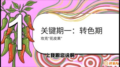 第8节：【小米辣线椒专场】颜值即正义！防花皮、防炭疽，打造收购商抢着要的&ldquo;精品果&rdquo;，课程：《辣椒种植实战特训营，从工业辣椒到精品小米辣，教你如何把&ldquo;草&rdquo;种成&ldquo;金&rdquo;》