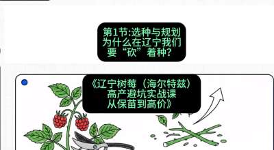 第一节： 选种与规划&mdash;&mdash;为什么在辽宁我们要&ldquo;砍&rdquo;着种？，课程：《辽宁树莓（海尔特兹）高产避坑实战课：从保苗到高价》
