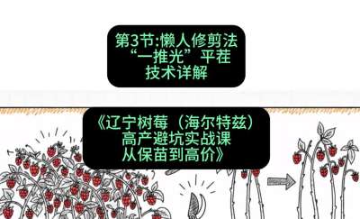 第三节： 懒人修剪法&mdash;&mdash;&ldquo;一推光&rdquo;平茬技术详解，课程：《辽宁树莓（海尔特兹）高产避坑实战课：从保苗到高价》
