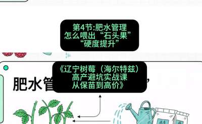 第四节： 肥水管理&mdash;&mdash;怎么喂出&ldquo;石头果&rdquo;（硬度提升），课程：《辽宁树莓（海尔特兹）高产避坑实战课：从保苗到高价》