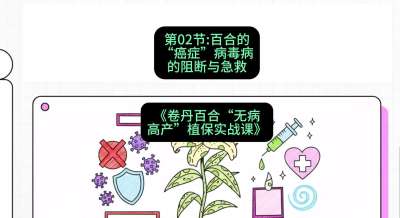 第02节：百合的&ldquo;癌症&rdquo;&mdash;&mdash;病毒病的阻断与急救，课程：《卷丹百合&ldquo;无病高产&rdquo;植保实战课》#识农AI