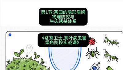 第01节：茶园的&ldquo;隐形盾牌&rdquo;&mdash;&mdash;物理防控与生态诱杀体系，课程：《茗茶卫士&mdash;&mdash;茶叶病虫害绿色防控实战课》#识农AI
