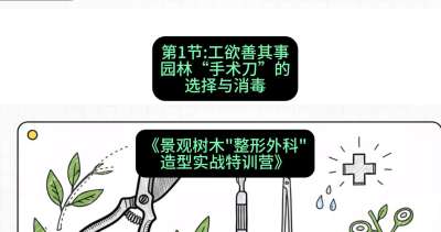 第01节：工欲善其事&mdash;&mdash;园林&ldquo;手术刀&rdquo;的选择与消毒，课程：《景观树木&ldquo;整形外科&rdquo;造型实战特训营》#识农AI