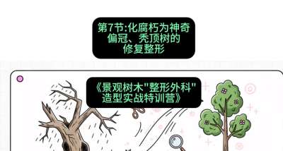 第07节：化腐朽为神奇&mdash;&mdash;偏冠、秃顶树的修复整形，课程：《景观树木&ldquo;整形外科&rdquo;造型实战特训营》#识农AI