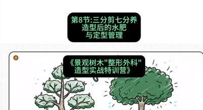 第08节：三分剪七分养&mdash;&mdash;造型后的水肥与定型管理，课程：《景观树木&ldquo;整形外科&rdquo;造型实战特训营》#识农AI