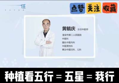 中药材淫羊藿怎么种？听专家一次讲明白！不挑地块好管理，耐寒耐旱省心省力，新手也能轻松上手，药用价值高、市场需求稳，妥妥的增收好品种～ 从生长习性到采收要点，干货满满无废话，种植疑问直接问，一对一答疑解