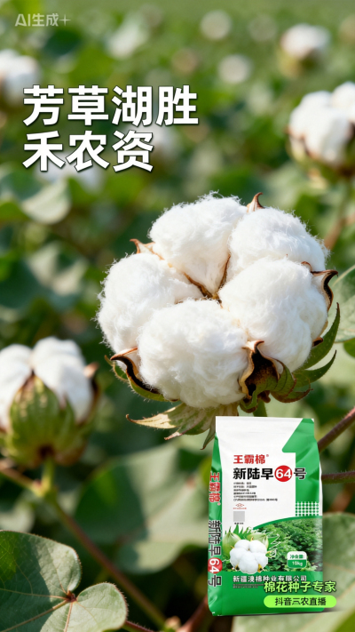 新疆棉花澳棉种业王霸棉，还有其它都好