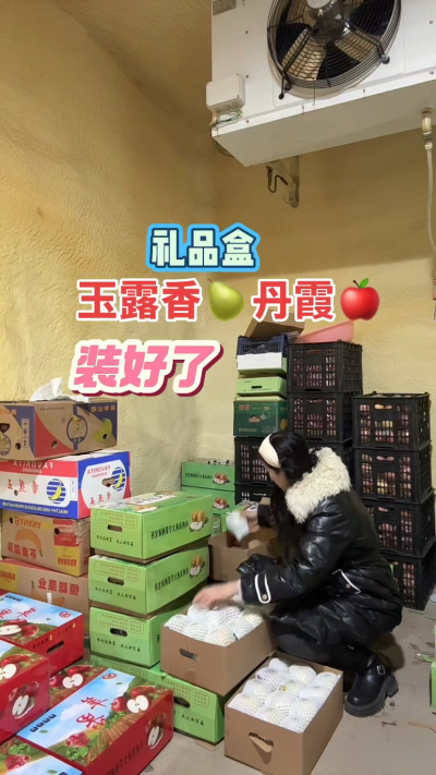 玉露香梨，丹霞苹果礼品盒