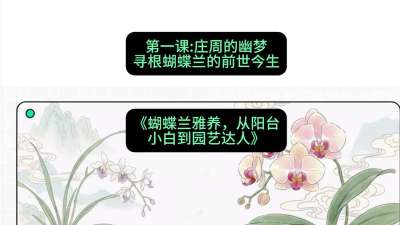 第一节：庄周的幽梦：寻根蝴蝶兰的前世今生，课程：《蝴蝶兰雅养六讲：从阳台小白到园艺达人》#识农AI