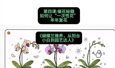 第四节：催花秘籍：如何让&ldquo;一次性花&rdquo;年年复花，课程：《蝴蝶兰雅养六讲：从阳台小白到园艺达人》#识农AI
