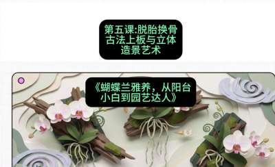 第五节：脱胎换骨：古法上板与立体造景艺术，课程：《蝴蝶兰雅养六讲：从阳台小白到园艺达人》#识农AI